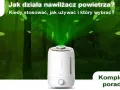 Nawilżacz powietrza a katar: czy pomaga? Poznaj prawdę