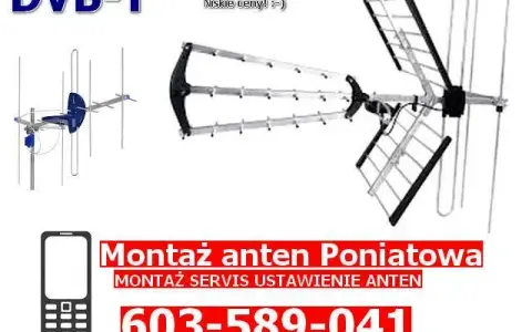 Ustaw antenę DVB-T2 z aplikacją: Prosty przewodnik krok po kroku